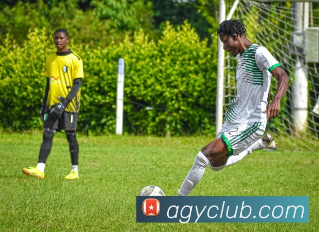 九游会官网全站App